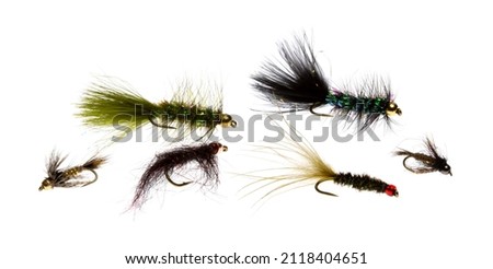 Side view of an assortment of fly fishing trout flies isolated on a white background.