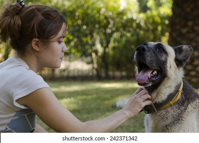 Side View Of An Attractive Young Woman Petting Her Dog, An Adult German Pinscher Wearing A Collar Who Is Panting Happily With Its Tongue Hanging Out