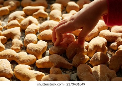 Side view of baking sheet with baked different shape cookies, little child hand taking tasty snack, homemade pastry, delicious bakery products for tea.