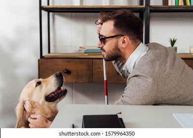 Side view of blind man with walking stick petting golden retriever beside table at home