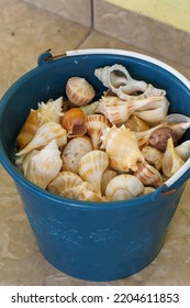 Side View Of A Blue Beach Bucket Filled With Seashells In Celestun, Mexico