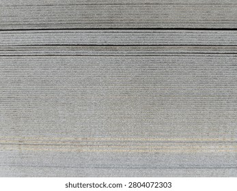 side view of Book page close up texture background