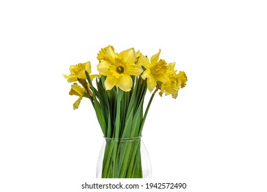 Side View Of Bunch Of Daffodils In Translucent Vase. Easter And Spring Cut Flowers. 