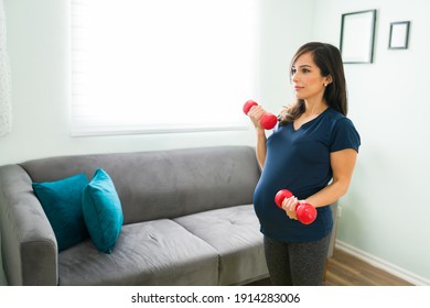 Side View Of A Caucasian Active Pregnant Woman Lifting Two Dumbbells At Home. Healthy Expectant Mother In Activewear Working Out With Weights 