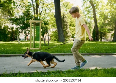 Side View Of Cheerful Boy Holding German Shepherd Puppy On Leash And Running Together At Summer Park. Concept Of People, Pets And Leisure Time. 