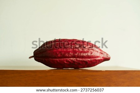 Side view of a cocoa bean placed on a woodboard.