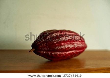 Side view of a cocoa bean placed on a woodboard.