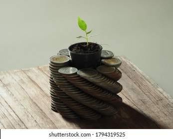 Side View Of The Coins Stacked In A Circle With A Sprouting Sapling, Coins That Are Stacked Up In A Spiral Circle, Stack Twist Coin, Twist Coin Pile, Save Money, Selective Focus