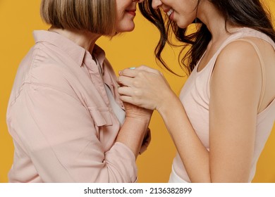 Side view cropped close up two young happy lovely daughter mother together couple women in casual clothes hold hands touch forehead isolated on plain yellow background studio Family lifestyle concept.