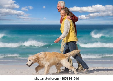 Side View Of An Elderly Couple Walking With A Dog Along The Shore Of A Sunny Beach.