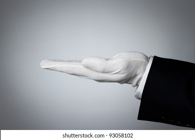 Side view of elegant human hand offering some product