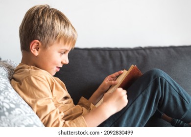 Side view of excited little boy with blond hair in casual clothes reading interesting book while resting on comfy couch at home - Powered by Shutterstock