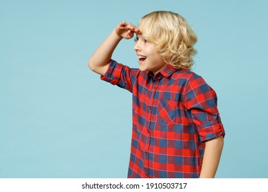 Side View Of Excited Little Kid Boy 10s In Basic Red Checkered Shirt Hold Hand At Forehead Looking Far Away Distance Isolated On Blue Background Children Studio Portrait. Childhood Lifestyle Concept