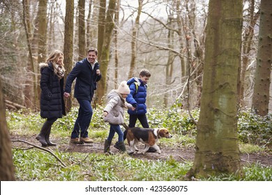 Side View Of Family Walking Pet Dog In A Wood, Closer In