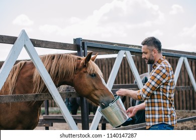 side view of farmer holding bucket and feeding horse in stable - Powered by Shutterstock