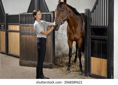 Side view of female horseman feeding her brown Thoroughbred horse in stable. Concept of animal care. Rural rest and leisure. Idea of green tourism. Young european woman wearing uniform