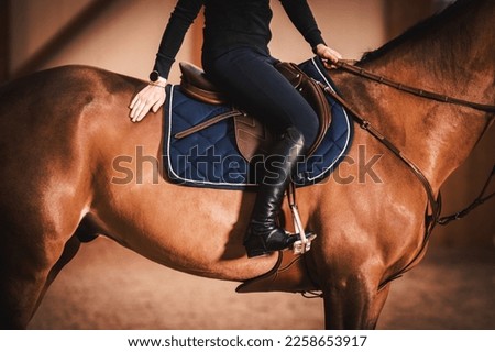Side View of a Female Rider on a Horse Inside Indoor Riding Arena Wearing Luxury Brown Leather Equipment. Equestrian Style and Fashion.