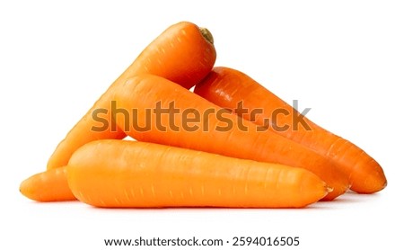 Side view of five fresh orange carrot roots in stack is isolated on white background with clipping path.
