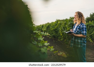Side view of a gardener holding a notepad looking for information and taking notes. Smart agriculture. Agriculture concept. Environment research. Business