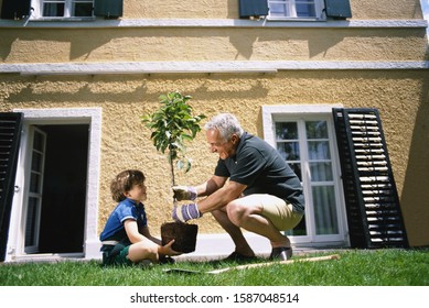 Side View Of Grandfather And Grandson Planting A Tree