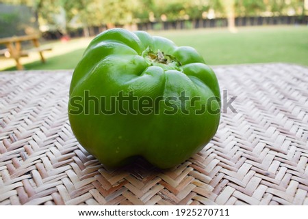 Side view of Green capsicum or green bellpepper on white background. Asian organic fresh short type of shimla mirch vegetable