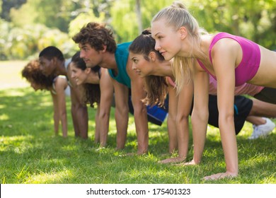 Side View Of A Group Of Fitness People Doing Push Ups In The Park