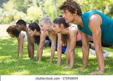 Side View Of A Group Of Fitness People Doing Push Ups In The Park