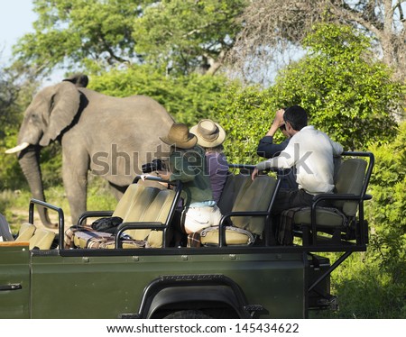 Side view of a group of tourists on safari watching elephant