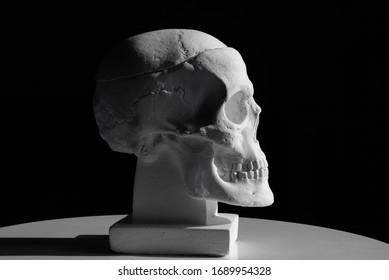 Side View Of Gypsum Model Of The Human Skull On Black Background With Clipping Path. Concept Of Terror, Physiology Learning