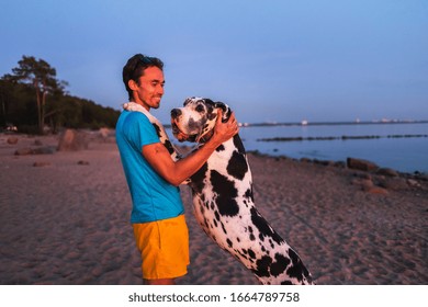 グレートデーン の画像 写真素材 ベクター画像 Shutterstock