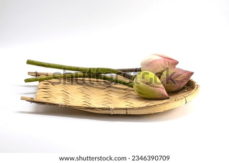 SIDE VIEW OF KULO WITH LOTUS ISOLATED ON WHITE BACKGROUND.