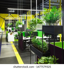 Side View Of Large Corporate Office In Loft Style With Green Plants, Open Space