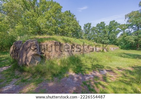 Side view of the largest grave on the Dolmen site 25a-c known as the Kleinenkneter Stones in Wildeshausen