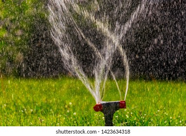 Side View Lawn Sprinkler Flow Water Stock Photo 1423634318 | Shutterstock