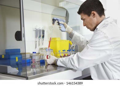 Side View Of A Male Scientist Filling Test Tube With Hitech Pipette In Laboratory