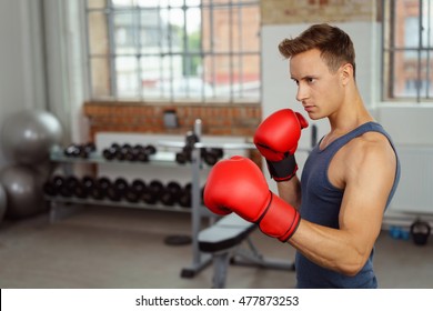 Side View Man Red Boxing Gloves Stock Photo 477873253 | Shutterstock