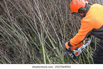 Side View of a Man Wearing a Helmet and Safety Gear Cutting Branches with a Chainsaw, Motion Blur, much Copy Space - Powered by Shutterstock