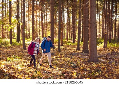 Side View Of Mature Retired Couple Walking Through Fall Or Winter Countryside Using Hiking Poles