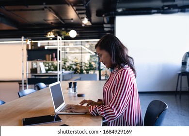 Side View Of A Mixed Race Businesswoman Working In A Modern Office, Sitting By A Desk And Using A Laptop Computer. Social Distancing And Self Isolation In Quarantine Lockdown