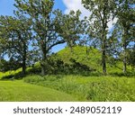 Side view of Mound A from White Oak Trail in Kolomoki Mounds State Park