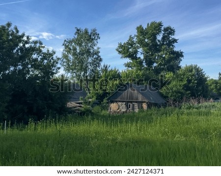 Side view of old weathered abandoned wooden house on green grass in countryside in a sunny summer day. Soft focus. Rural depopulation theme.
