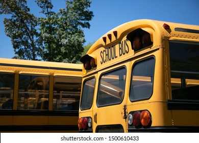 Side View On Parked School Buses Stock Photo 1500610433 | Shutterstock