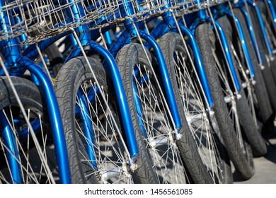 Side view on a row of parked beach cruisers, in a bike rental background