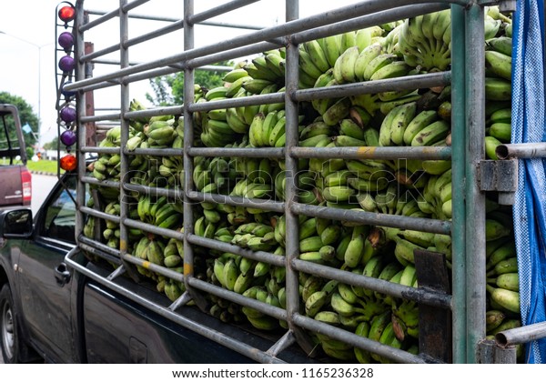 A side view of pickup truck load of\
banana., Pickup truck loaded by fruits in\
Thailand.