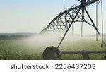 Side view pivot at work in potato field, watering crop for more growth. Center pivot system irrigation. Watering crop in field at farm. Modern irrigation system for land and vegetables growing on it.