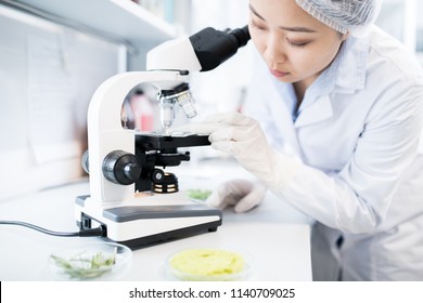 Side View Portrait Of Asian Female Scientist Using Microscope While Doing Research In Medical Laboratory