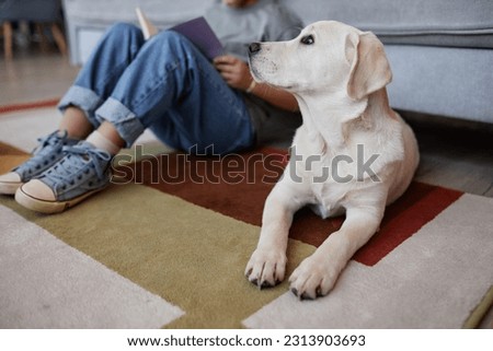 Side view portrait of cute white dog looking at girl while waiting for attention and pets, copy space