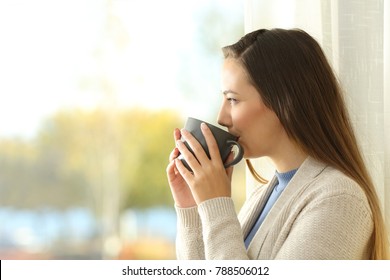 Side View Portrait Of A Relaxed Lady Drinking Coffee And Looking Outdoors Through A Window At Home