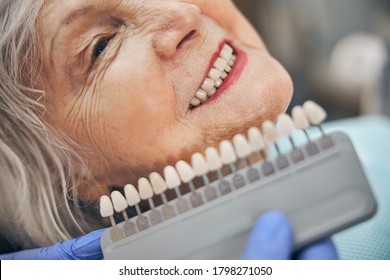 Side View Portrait Of Smiling Senior Female Sitting In The Dental Office While Doctor In Blue Glove Holding Porcelain Artificial Limb