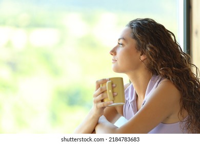 Side View Portrait Of A Woman Holding Coffe Cup Relaxing Looking Through A Window